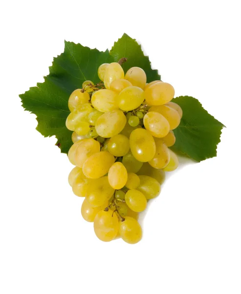 Pęczek dojrzałych winogron na białym tle — Zdjęcie stockowe