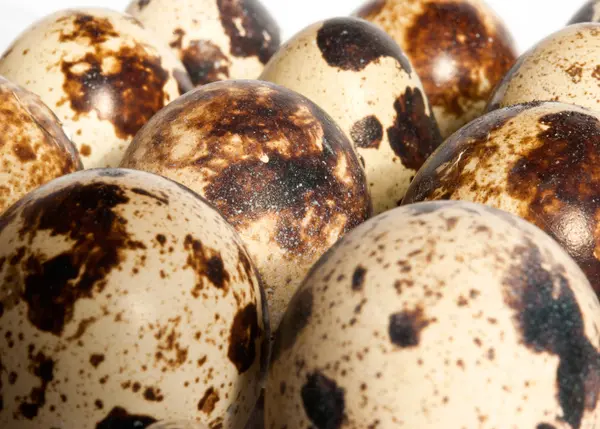 stock image Group of fresh raw egg. Quail eggs.