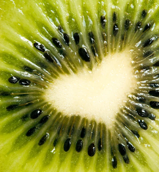 Kiwi close-up — Fotografie, imagine de stoc