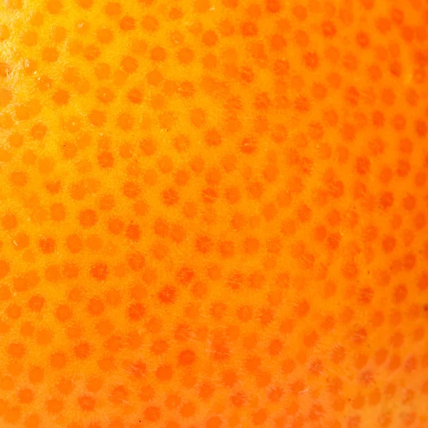 Portakal Kabuğu — Stok fotoğraf