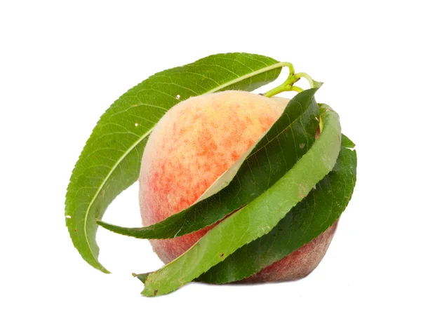 Ripe peach, surrounded by leaves, isolated on a white background — Stock Photo, Image