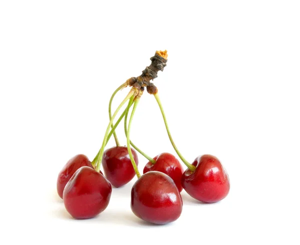 Sweet cherry isolated on white — Stock Photo, Image
