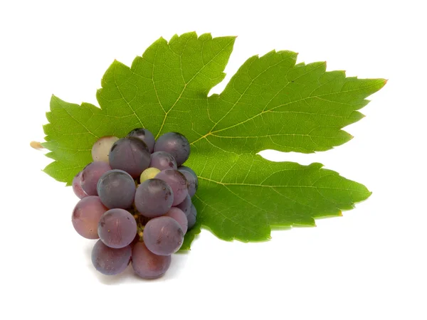 Racimo de uva fresca con hojas verdes aisladas — Foto de Stock