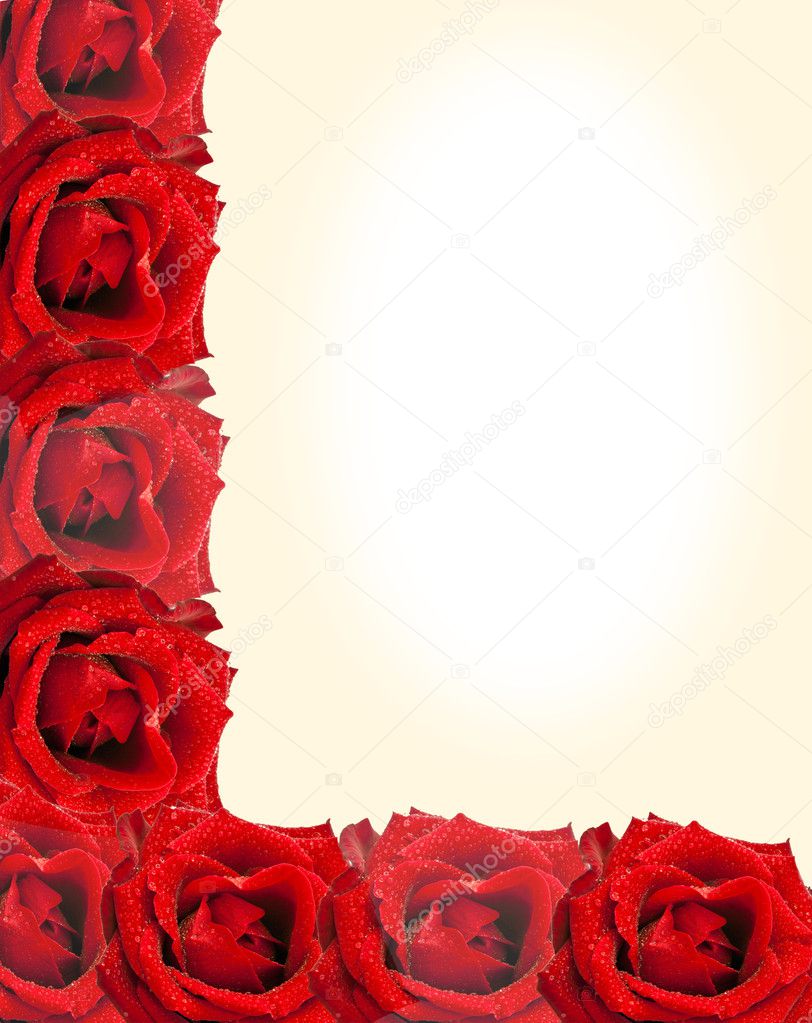 A beautiful postcard, isolated roses and right field for text
