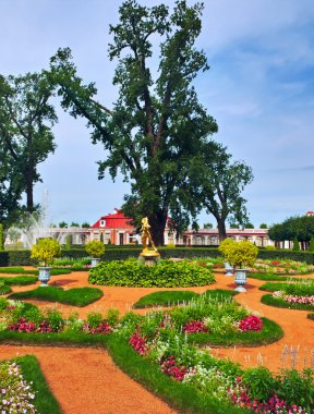 Bright park with flowers in Peterhof, St. Petersburg clipart