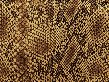 Snake skin with the pattern lozenge style clipart