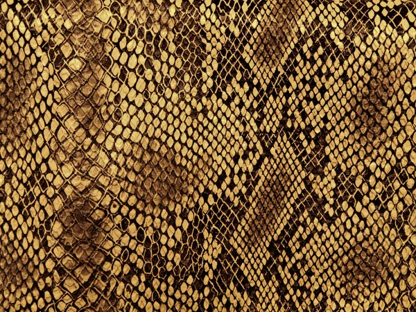 Snake Skin Pattern Lozenge Style — Stock Photo, Image