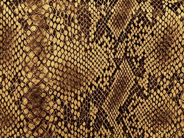 蛇の皮パターン菱形スタイル — ストック写真