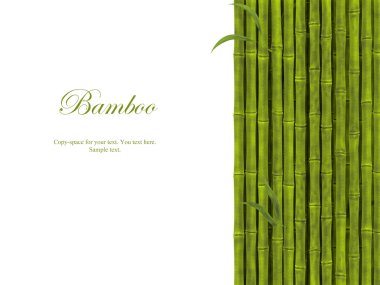 Bambu.