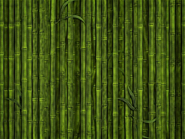 Illustration Fond Vert Forêt Bambous — Photo