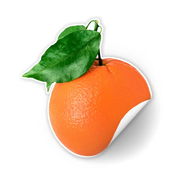 Pojedynczy Pomarańczowy Naklejki Zielonych Liści Białym Tle — Zdjęcie stockowe