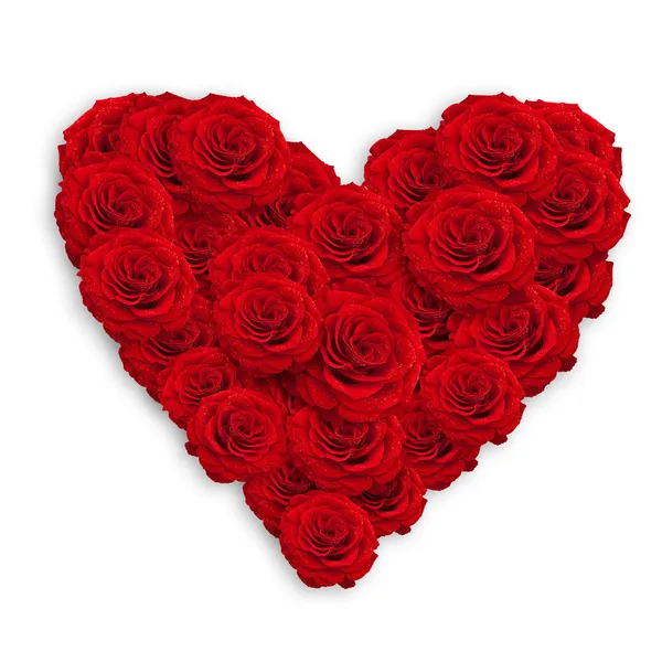 Rosas Vermelhas Frescas Forma Coração Sobre Branco — Fotografia de Stock
