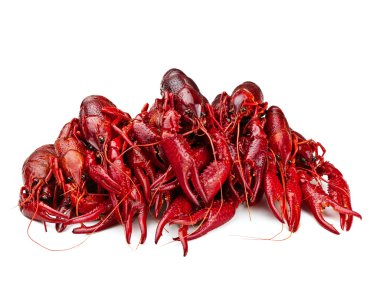 Red boiled crawfishes over the white background clipart