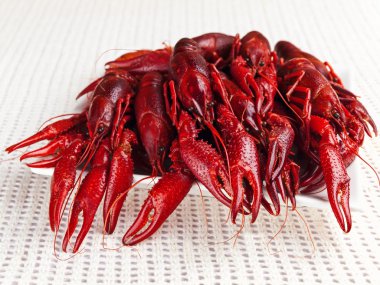 Plate full of red boiled crawfishes clipart
