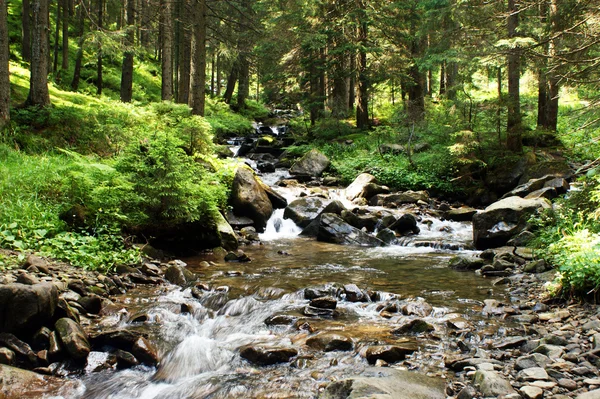 stock image Mountain river