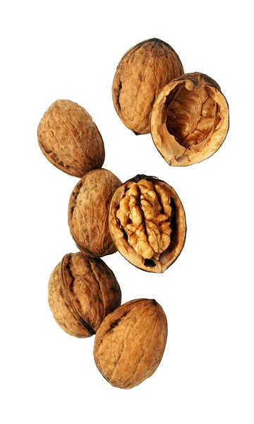 Viele Nüsse — Stockfoto