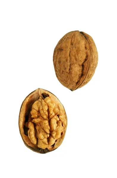 Staré ořechy — Stock fotografie