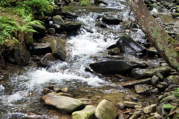 stock image River and stones