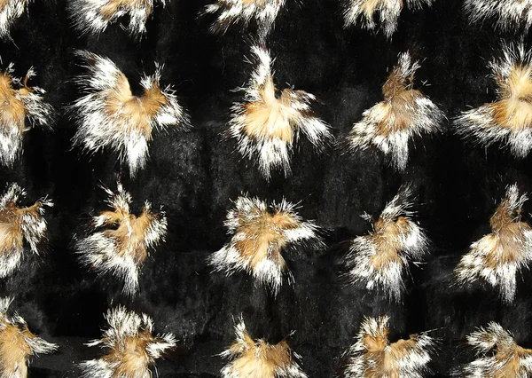Fox and mink fur — Stock Photo, Image