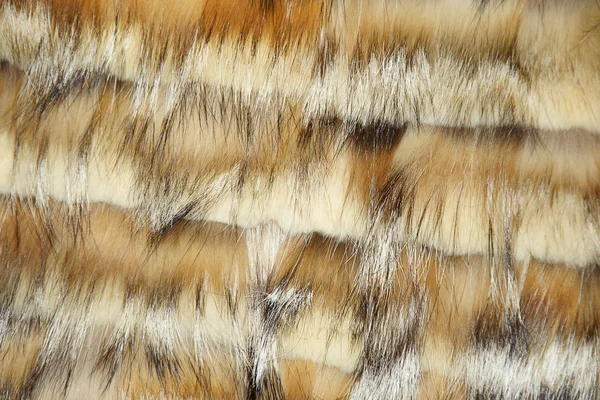 Лиса и норковая шерсть — стоковое фото