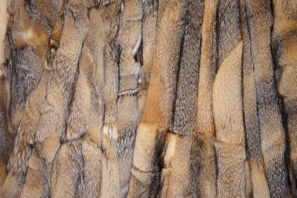 Fox pelliccia sfondo — Foto Stock
