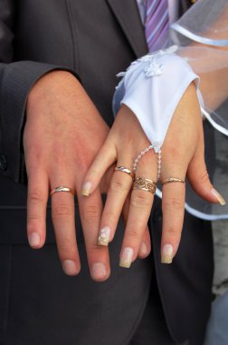 Married Couple Hands clipart