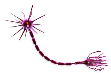 Neuron cell clipart