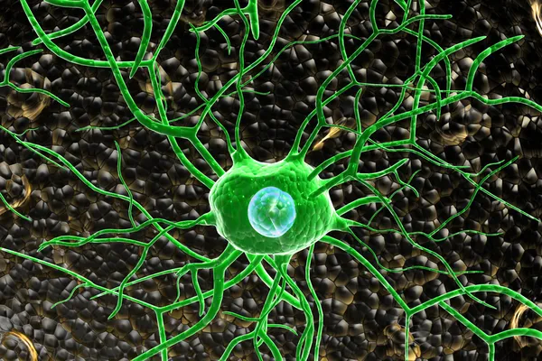 3d células nervosas — Fotografia de Stock