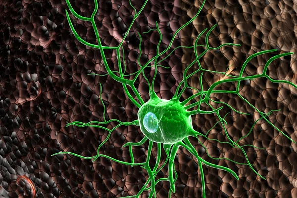 3D nervových buněk — Stock fotografie
