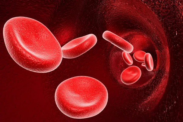 Kan hücresi — Stok fotoğraf