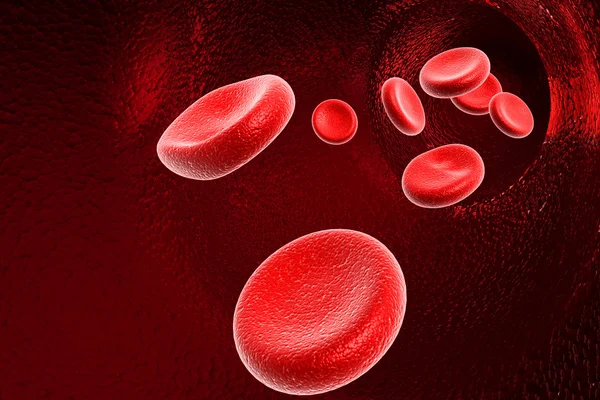 Kan hücresi — Stok fotoğraf