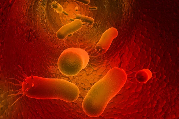 Бактерії — стокове фото
