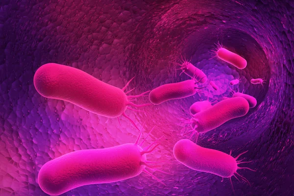 Bakterie — Stock fotografie