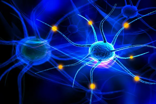 3 d の神経細胞 — ストック写真