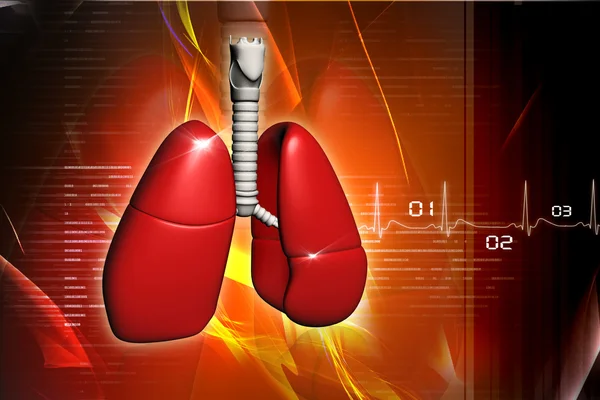 Ludzkie płuca w cyfrowy projektu — Zdjęcie stockowe
