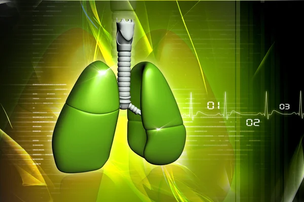 Людські легені в цифровому дизайні — стокове фото