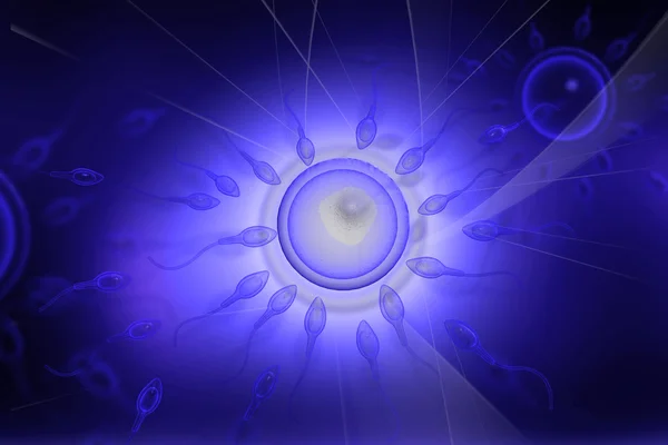 Spermierna Försöker Mänsklig Äggcell — Stockfoto