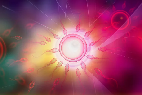 Cellule spermatiche — Foto Stock