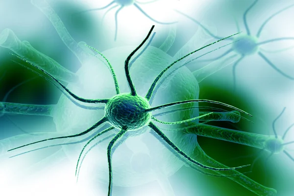 Νευρικών Κυττάρων — Φωτογραφία Αρχείου