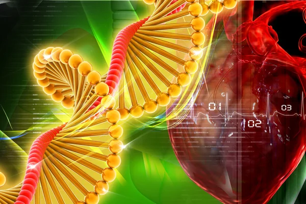 DNA'ın dijital illüstrasyon — Stok fotoğraf