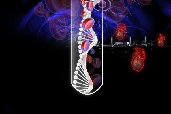 Coração Humano Células Sanguíneas Tubo Ensaio — Fotografia de Stock