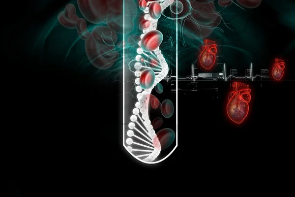 Ανθρώπινη Καρδιά Και Κυττάρων Αίματος Δοκιμαστικό Σωλήνα — Φωτογραφία Αρχείου