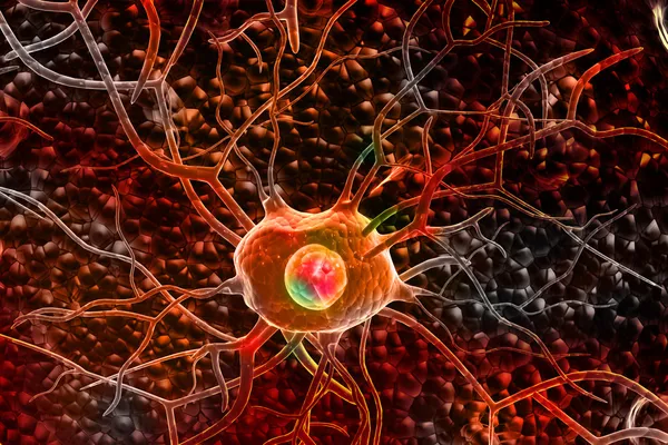 Komórek Nerwowych — Zdjęcie stockowe