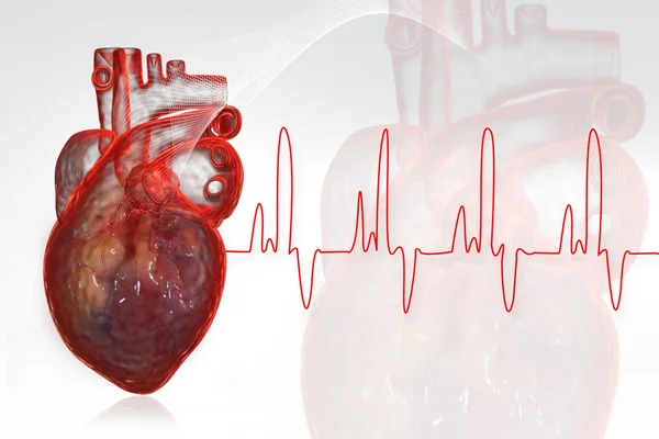Coração Humano Design Digital — Fotografia de Stock