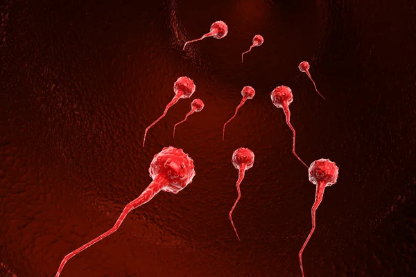 精子细胞 — 图库照片