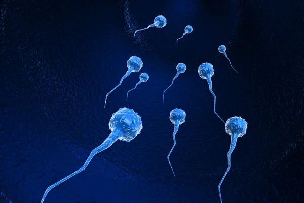 Spermien — Stockfoto