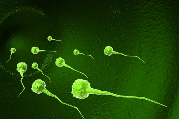精子细胞 — 图库照片