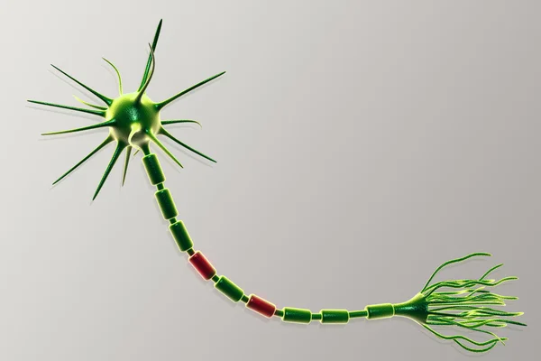 Neuron Komórka — Zdjęcie stockowe