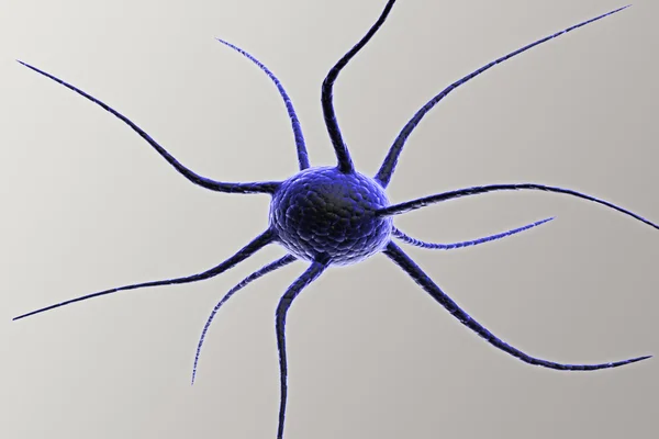 신경 세포 — 스톡 사진
