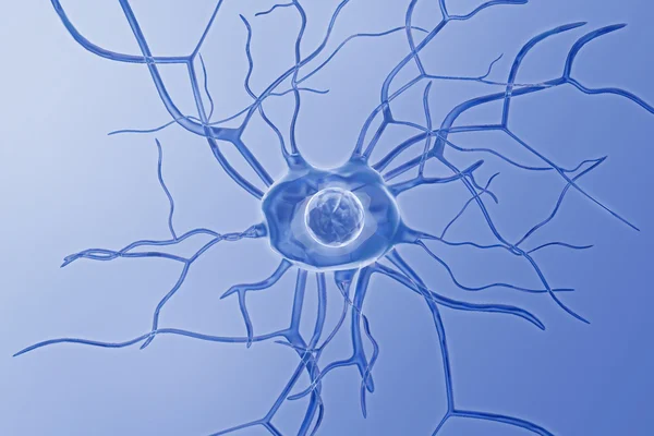 Нервові Клітини — стокове фото